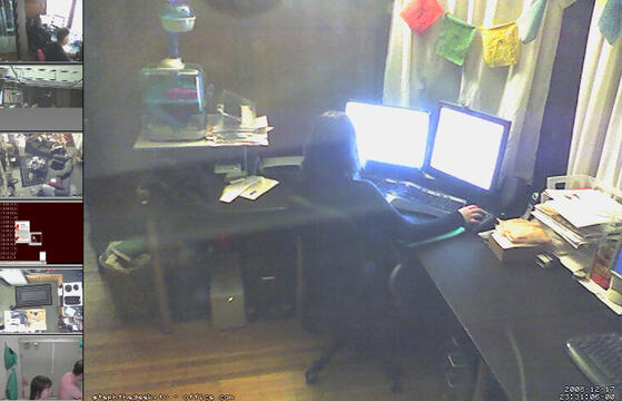 Multi-webcam view