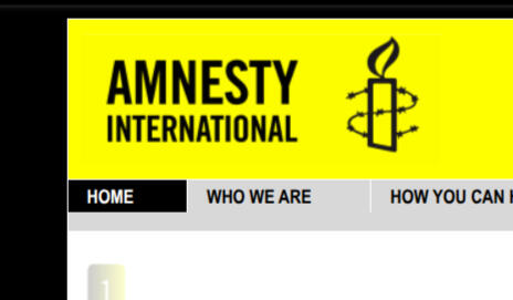 Amnesty International homepage (2008)